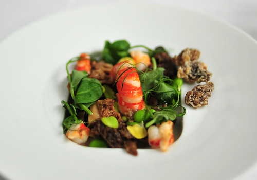 Supplement: Fresh Morel Mushroom and Fava Bean Salad