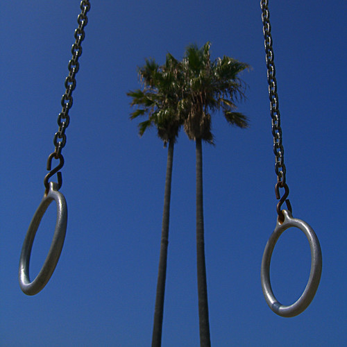 muscle beach