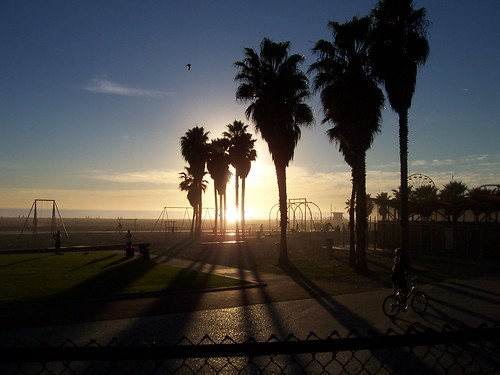 Muscle Beach