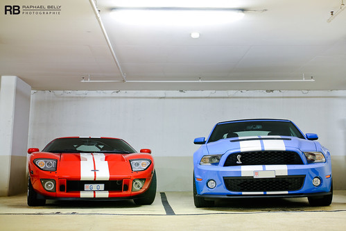 Muscle Cars