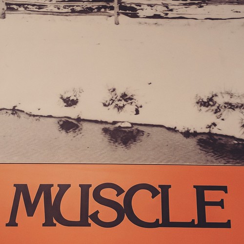 muscle