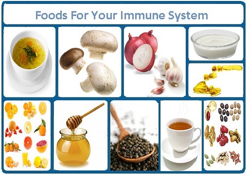 immune-system-foods99999999999999999999999