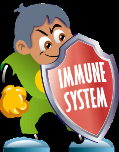 Cartoon Immune System