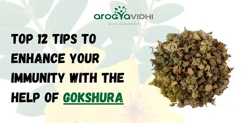 Top 12 tips to enhance your immunity with the help of Gokshura