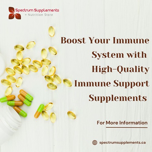 Boost Your Immune System with High-Quality Immune Support Supplements