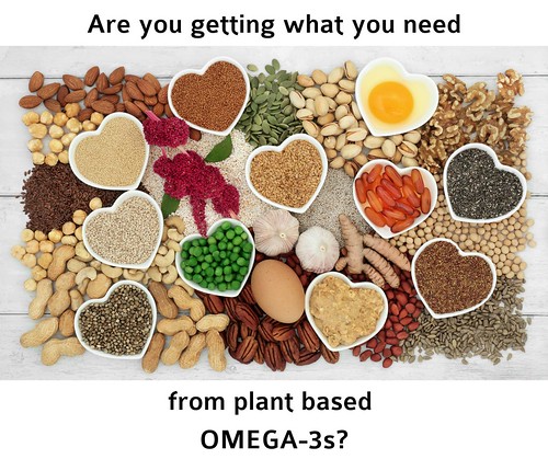 Choose Plant Based Omega 3 Supplement