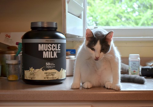 muscle milk